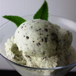 Mint Chocolate Chip Ice Cream