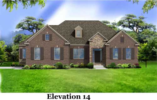 This is the image alt text